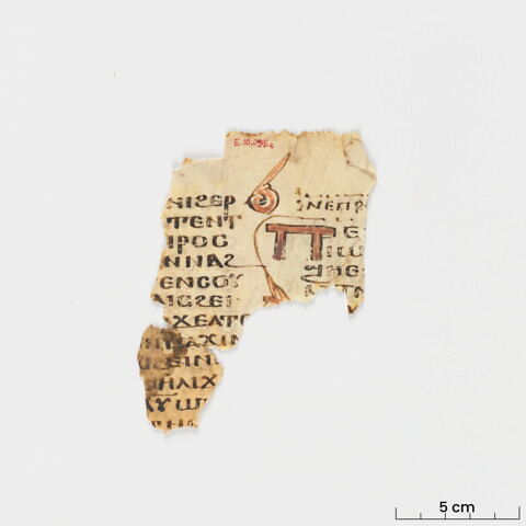 feuillet de codex ; fragment, image 3/8