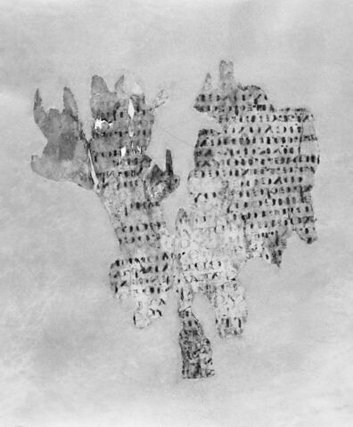 feuillet de codex ; fragment, image 4/4