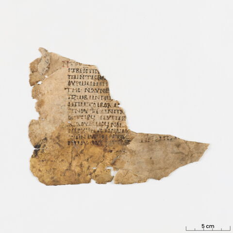 feuillet de codex ; fragment, image 3/8