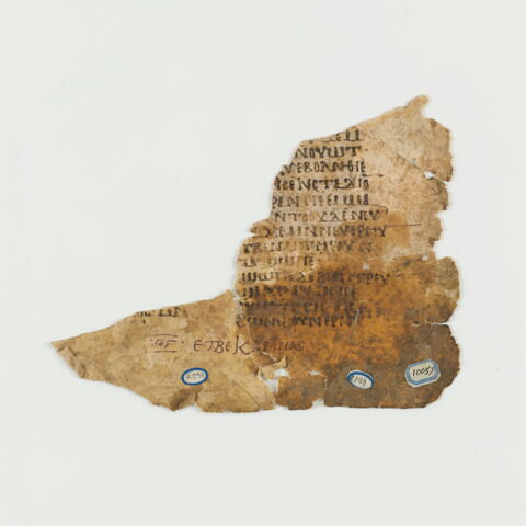 feuillet de codex ; fragment, image 4/8