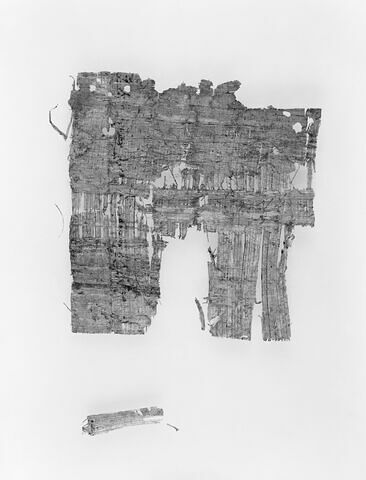 papyrus documentaire, image 2/2