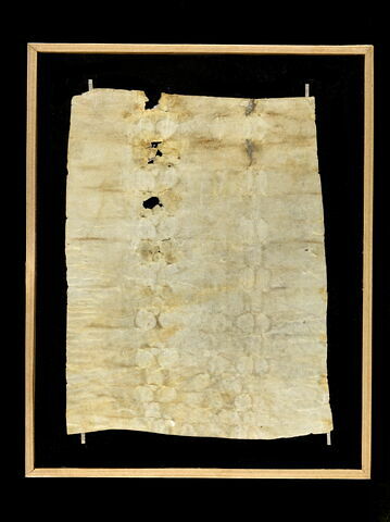 parchemin, image 2/3