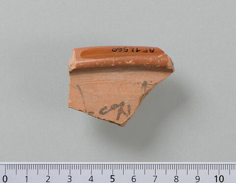 ostracon, image 2/5