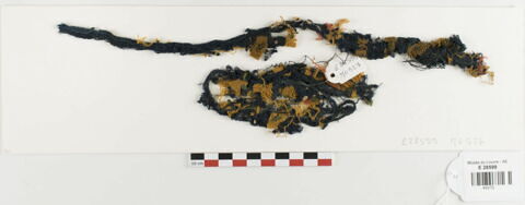 tissu ; fragments ; fragments, image 2/3