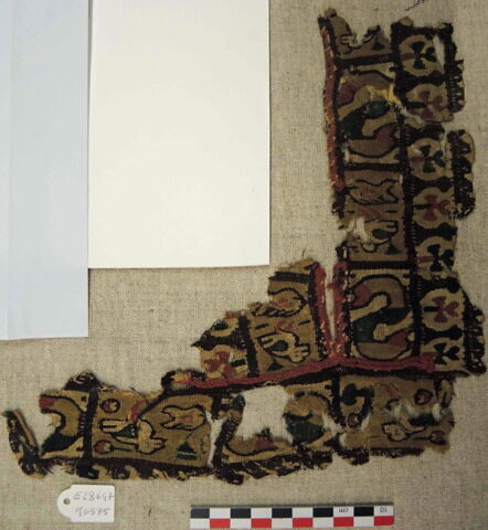 clavus, image 2/2