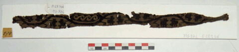 clavus ; fragment, image 2/2