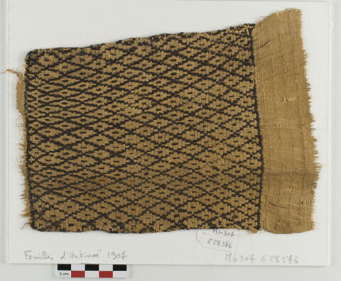 tissu ; fragment
