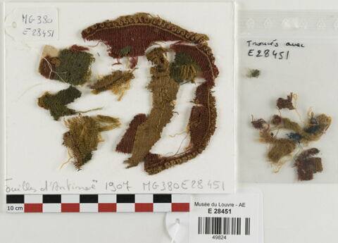 orbiculus ; fragment