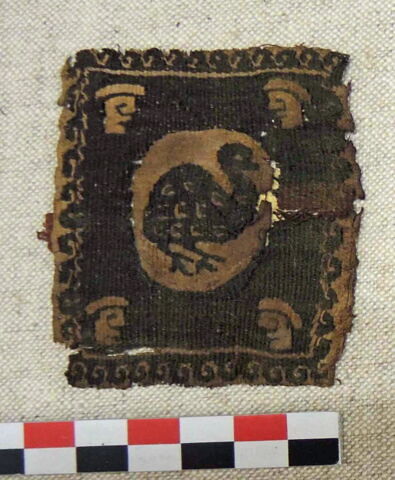 tabula, image 3/3