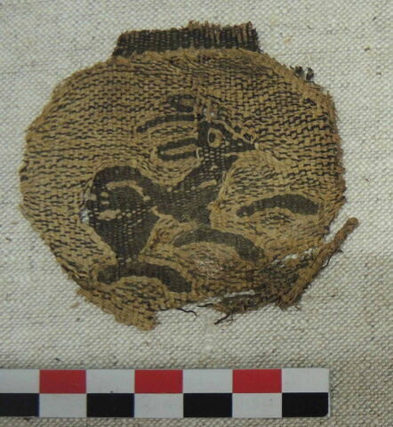 orbiculus, image 3/3