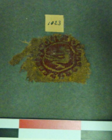 orbiculus, image 2/2