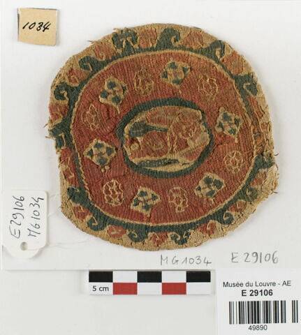 orbiculus ; fragment