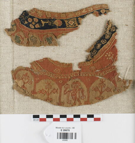 bande d'encolure ; deux fragments
