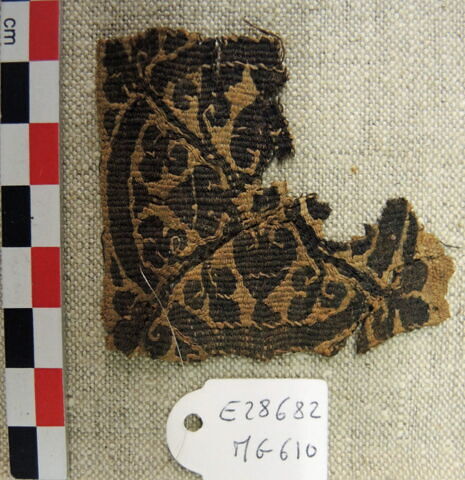 tabula, image 2/2