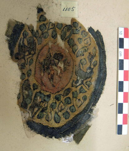 orbiculus, image 2/2