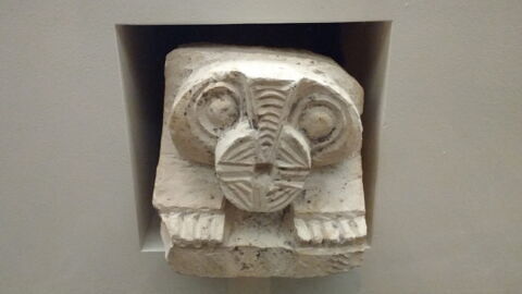 corbeau, image 2/2