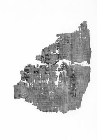 papyrus littéraire