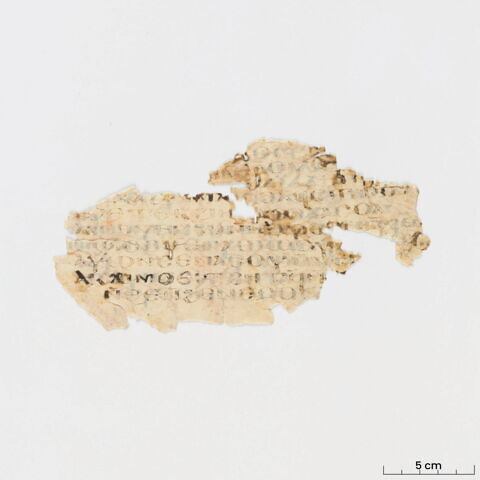 feuillet de codex ; fragment, image 2/6