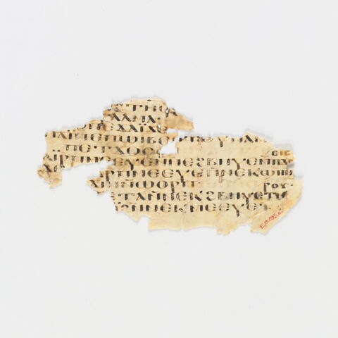 feuillet de codex ; fragment, image 1/6