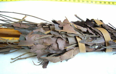 bouquet de feuilles ; bouquet de fleurs, image 12/15