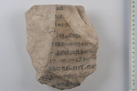 ostracon, image 2/5