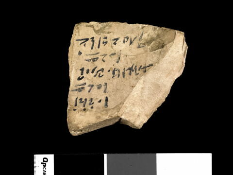 ostracon, image 2/2