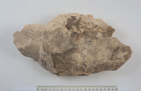 ostracon, image 3/3