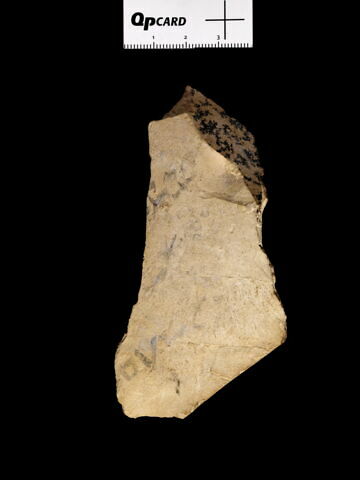 ostracon, image 4/4