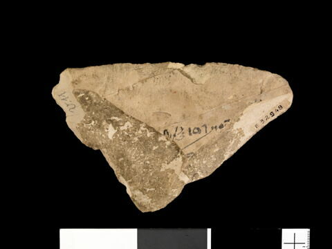 ostracon, image 2/2