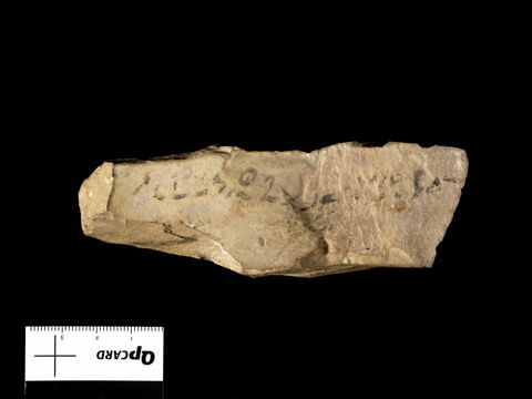 ostracon