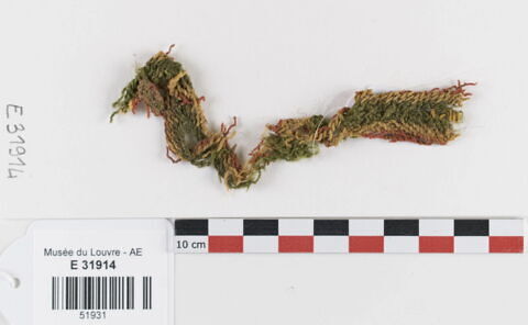 filet de tête ; fragment