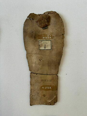 semelle de cartonnage, image 2/3