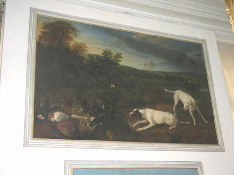 Folle et Mite, chiennes de Louis XIV, image 2/2