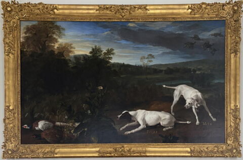 Folle et Mite, chiennes de Louis XIV
