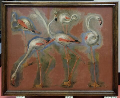 Études de flamands roses, image 2/2