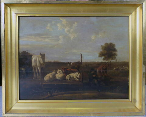 Paysage aux animaux