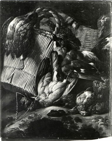 Nature morte aux oiseaux, image 4/4