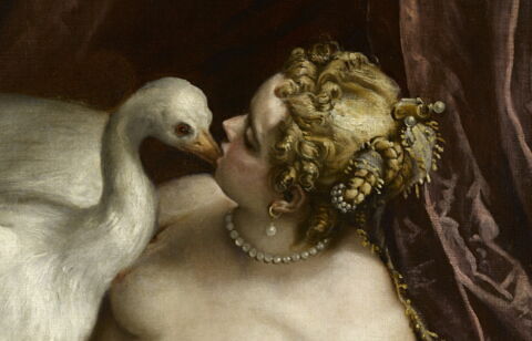 Léda et le cygne, image 2/4