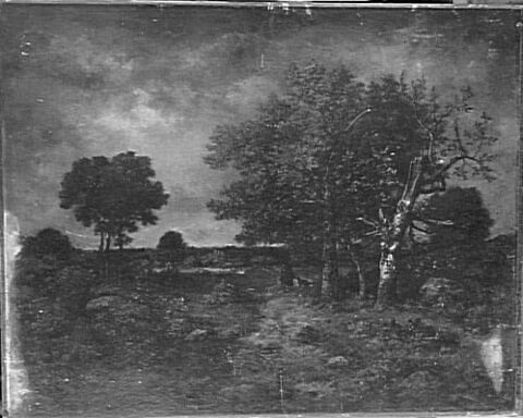 Paysage avec arbres, image 3/3