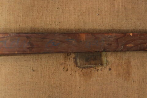 Baigneuse et sa suivante, image 5/6