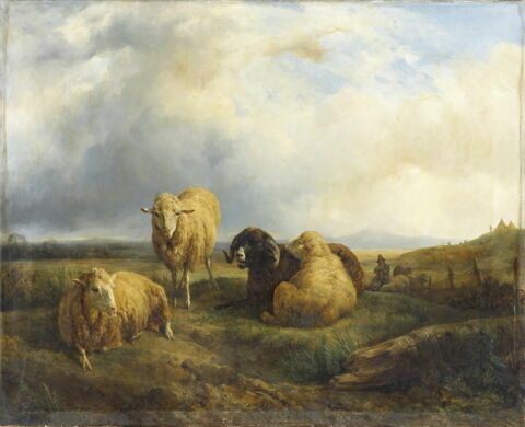 Paysage avec animaux