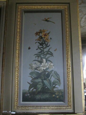 Huit tableaux représentant diverses espèces de lys : Globba erecta (Globbée droite), Lilium superbum (Lis superbe), Hemerocallis japonica (Hémérocalle du Japon), image 2/2