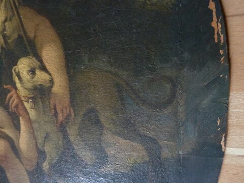 Diane et Callisto, image 2/5