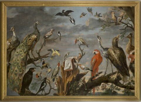 Concert d'oiseaux