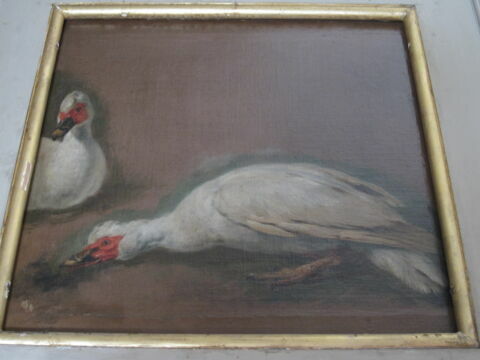 Deux canards de Barbarie blancs, image 2/2