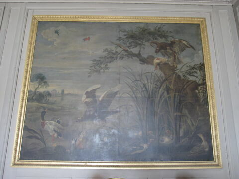Aigles s'abattant sur des canards, image 5/6