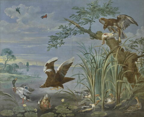 Aigles s'abattant sur des canards