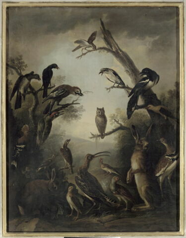 Oiseaux et deux lièvres, image 5/5