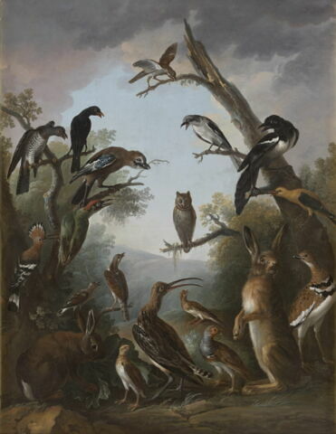 Oiseaux et deux lièvres