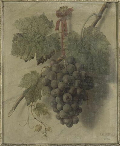 Une Grappe de raisin noir pendu à une muraille, image 3/3